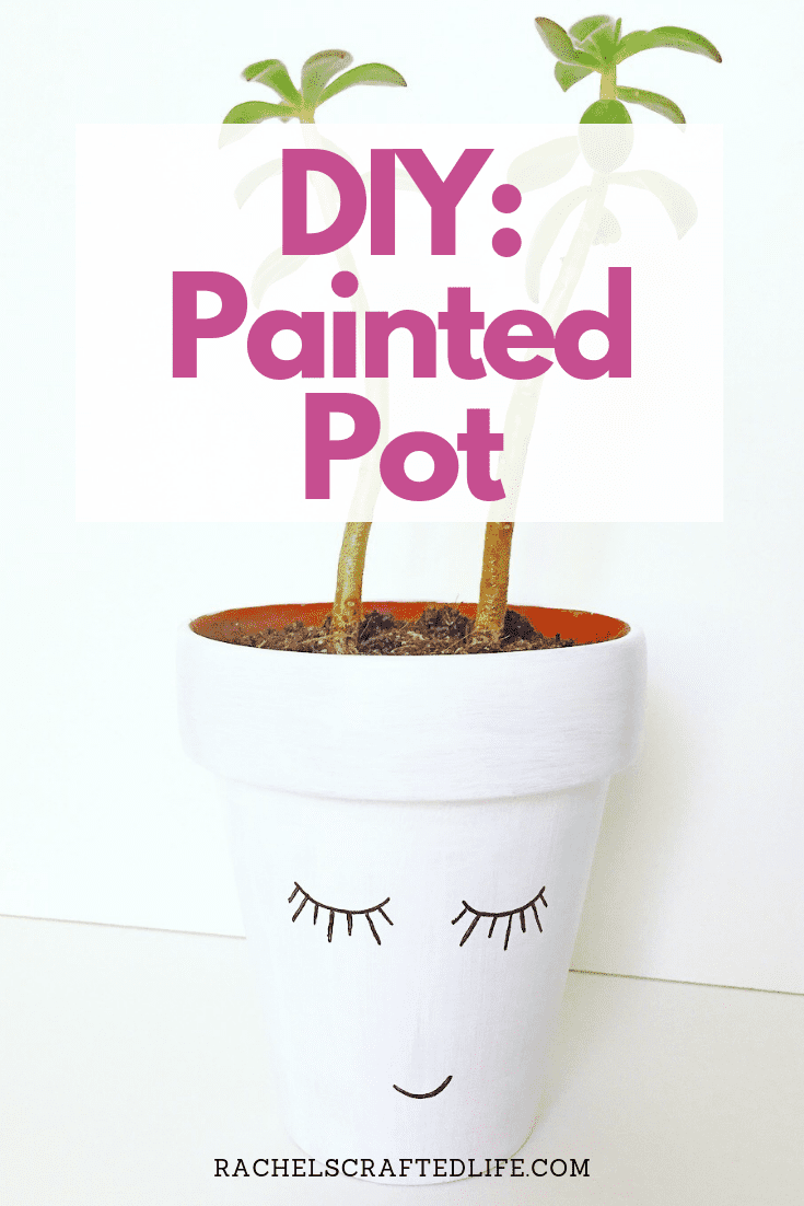 You are currently viewing DIY Black and White Painted Clay Pot