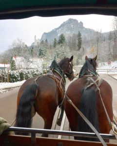 Horse drawn carriage ride up to Neuschwanstein Castle