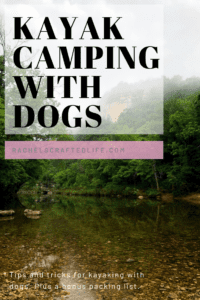 Read more about the article Kayak Camping with Dogs: Packing List and Tips