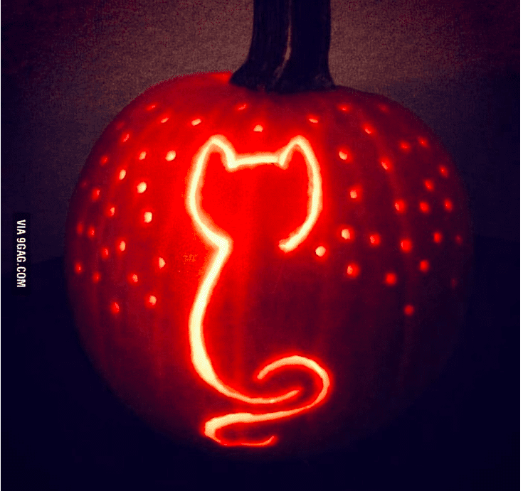 cat and stars pumpkin carving