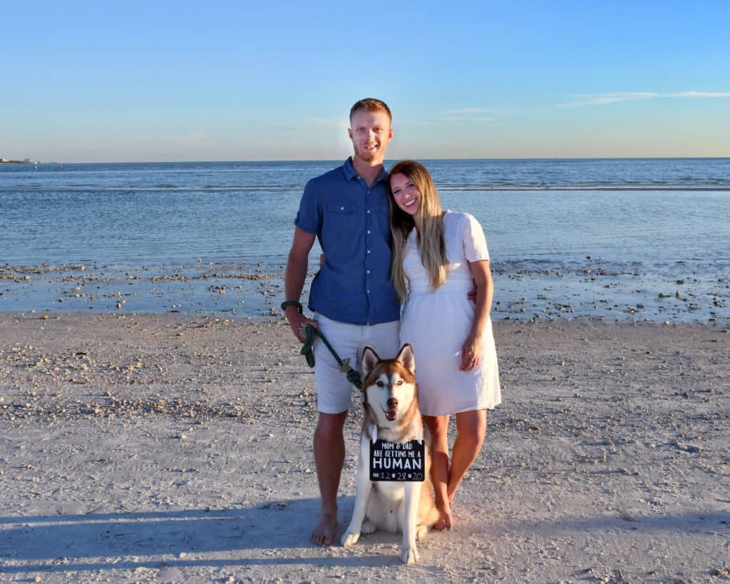 Beach pregnancy announcement with dog. 