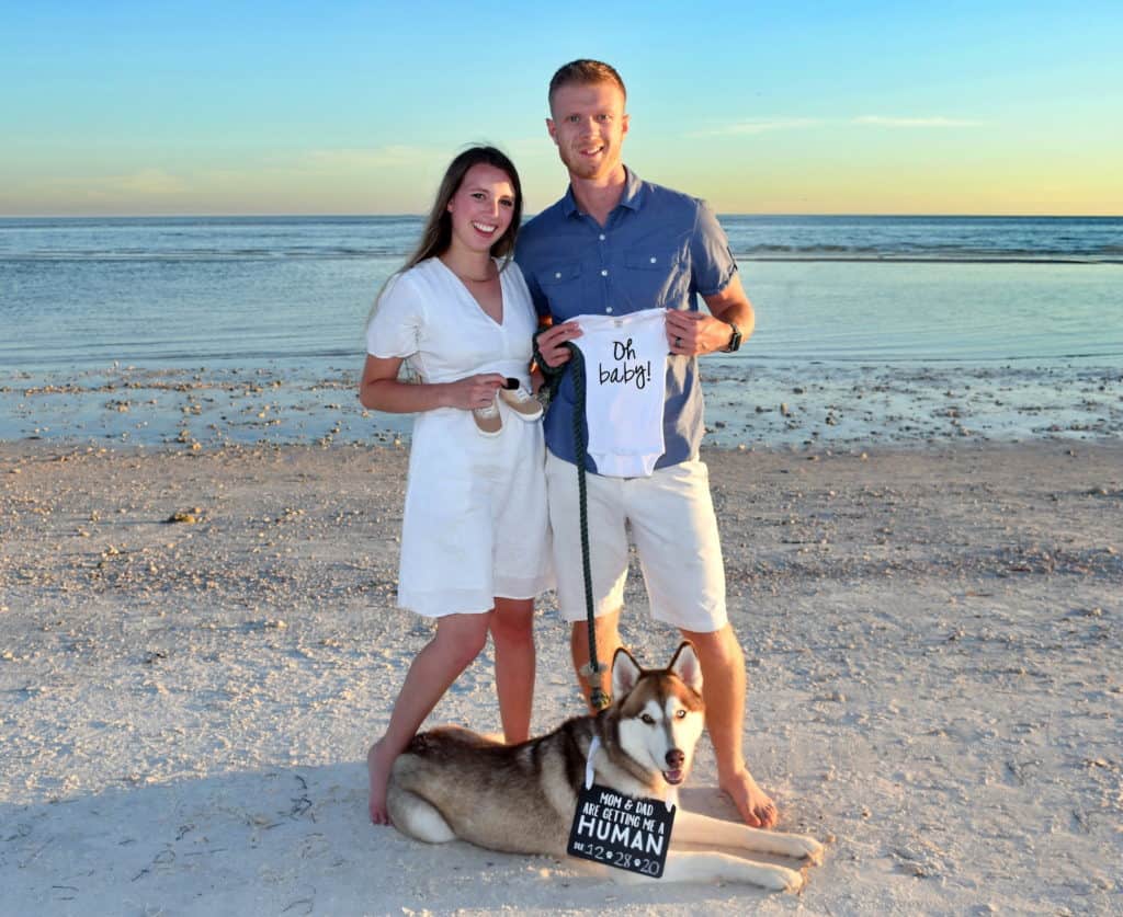 Pregnancy announcement with dogs, end of first trimester announcement 