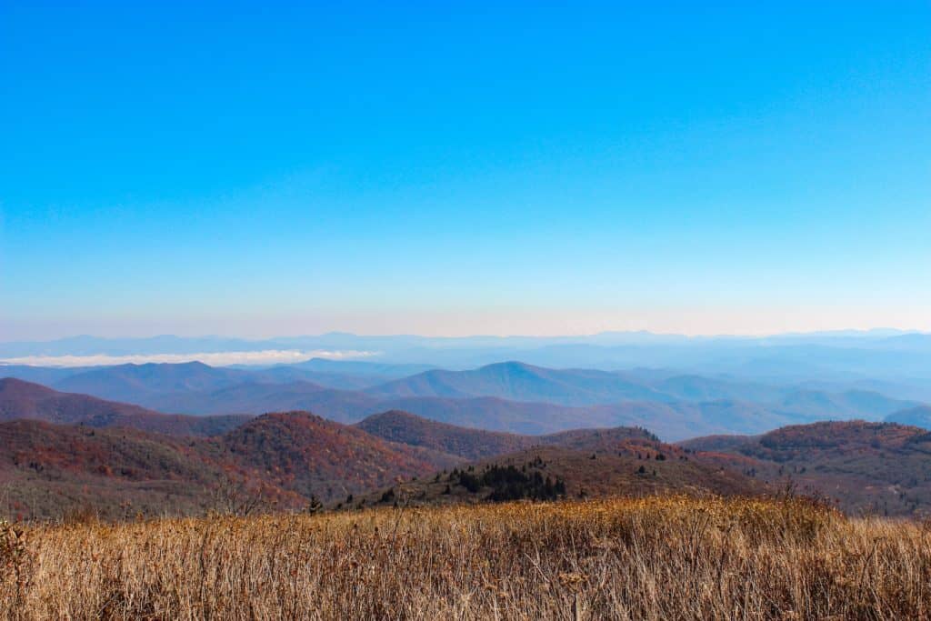 The view of the blue smokey mountains from the top of the Black Balsam Trail. The Black Balsam trail is another great dog friendly hike near Asheville.
