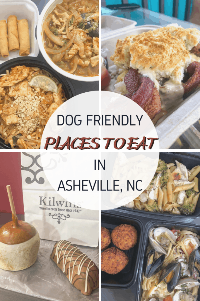 Dog friendly restaurants in Asheville, North Carolina to try now. Foodies of Asheville will be very happy with the wide variety of food flavors and ethinicities, Restaurants in Asheville worth visiting. 