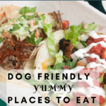 Dog Friendly Places to Eat in Asheville, NC