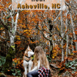 Dog Friendly Hikes off Blue Ridge Parkway near Asheville, NC