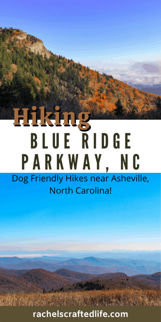 Dog Friendly Hikes off Blue Ridge Parkway near Asheville, NC - Rachel's ...