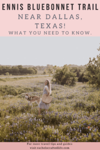 Read more about the article Ennis Bluebonnet Trail near Dallas, Texas: What You Need to Know