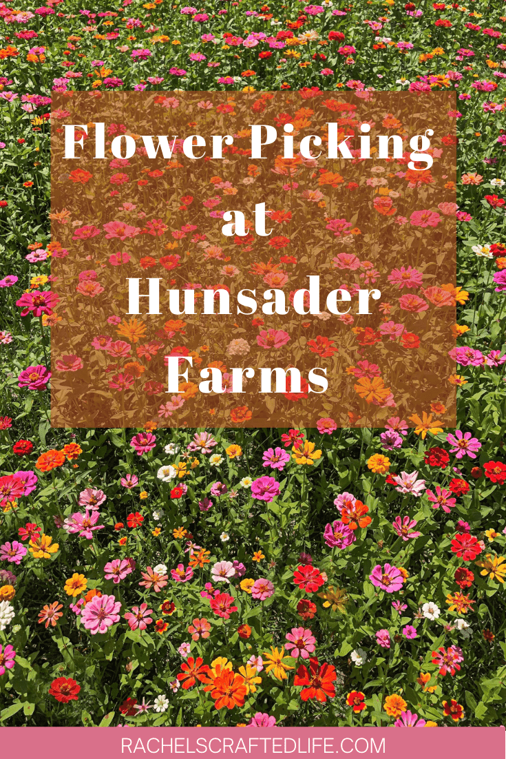 You are currently viewing Flower Picking at Hunsader Farms in Bradenton, Florida