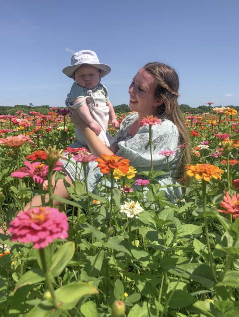 Zinnia flower field at Hunsader flower farm in Florida. Flower farms are a fun spring and summer activity when you visit Florida. There are flower farms all over but especially in northern and central Florida. So come have a fun filled day of flower picking.