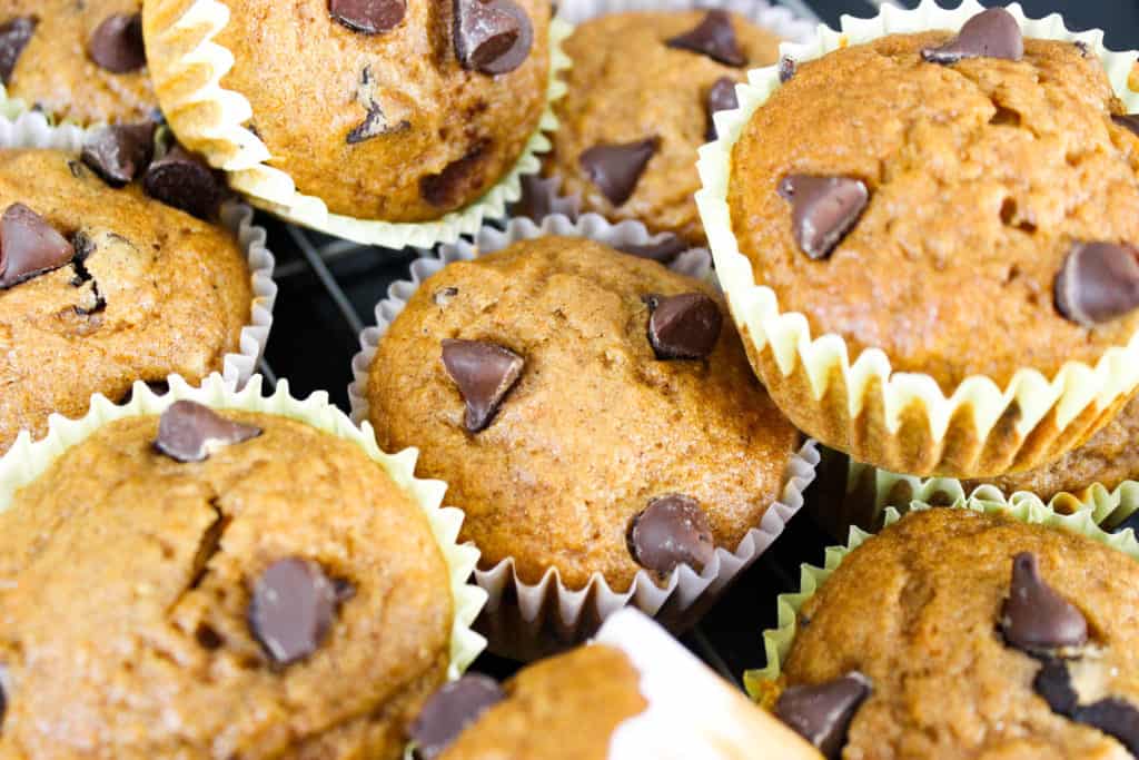 These are sugar free pumpkin muffins that still taste delicious. My husband wanted healthy pumpkin muffins with applesauce instead of sugar and I found a way to make it work. These are yummy pumpkin muffins that aren't completely unhealthy. I still wanted chocolate chips in mine so I also made chocolate chip pumpkin muffins but the dough is still sugar free, the chocolate chips definitely add sugar though!