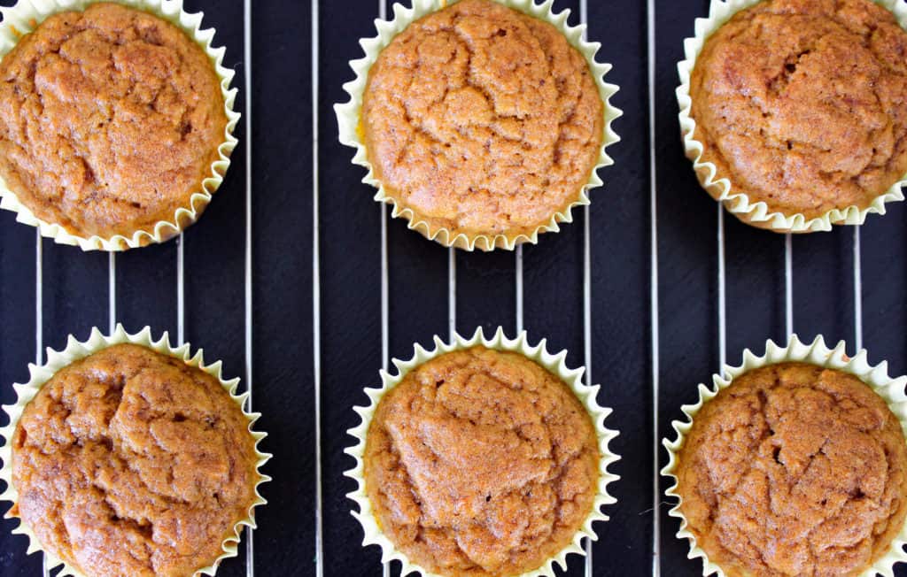 These are sugar free pumpkin muffins that still taste delicious. My husband wanted healthy pumpkin muffins with applesauce instead of sugar and I found a way to make it work. These are yummy pumpkin muffins that aren't completely unhealthy.