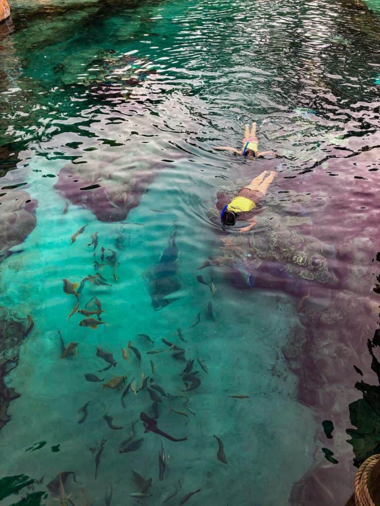 Snorkeling with the fishes and sting rays in the Grand Reef of Discovery Cove was the highlight of our day.