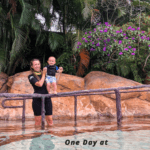 A Day at Discovery Cove with a Baby