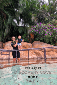 Read more about the article A Day at Discovery Cove with a Baby