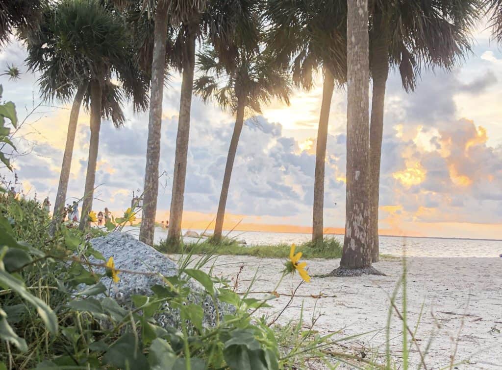 You wouldn't be in Florida if you didn't go to the beach at least once. There are many great ones to visit like Clearwater or Anna Maria Island. Definitely one of the best fun things to do in Tampa.