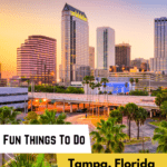 Best Fun Things To Do in Tampa, FL