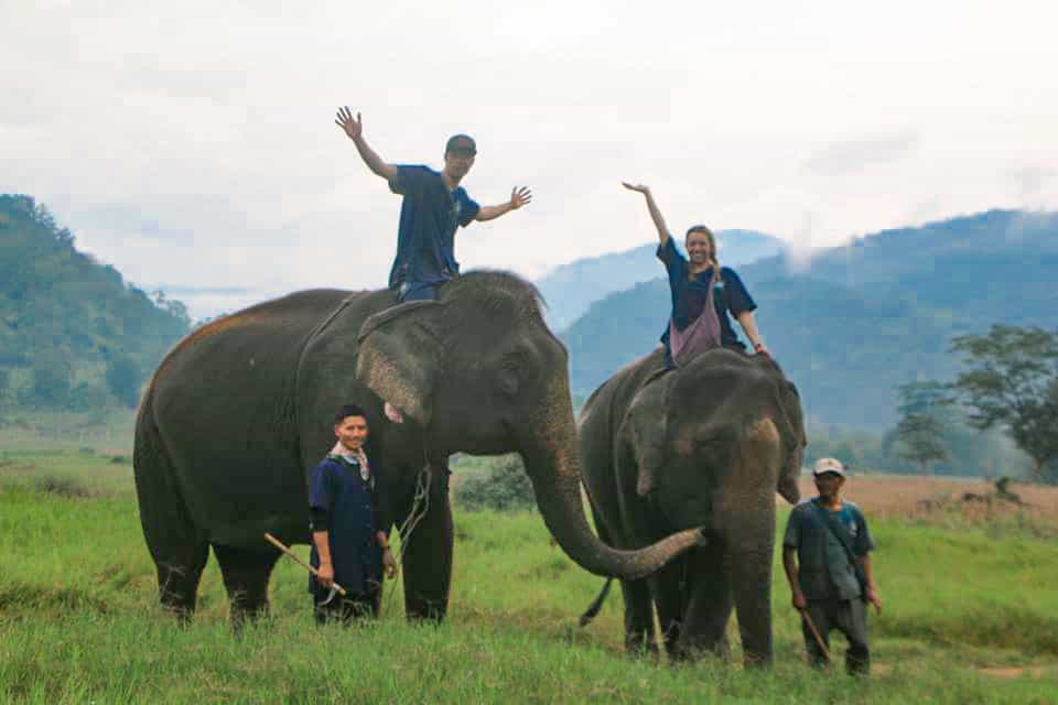 A couple in Thailand riding elephants