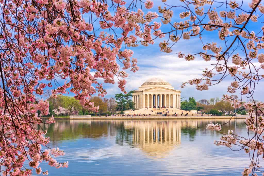 Washington DC in the spring is on my US bucket List