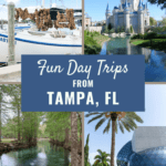 14 Fun Day Trips from Tampa, FL