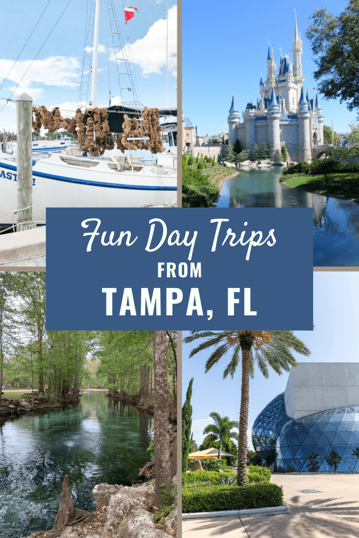 You are currently viewing 14 Fun Day Trips from Tampa, FL