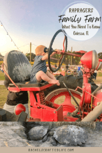 Read more about the article Raprager Family Farm in Odessa, FL: What You Need to Know￼