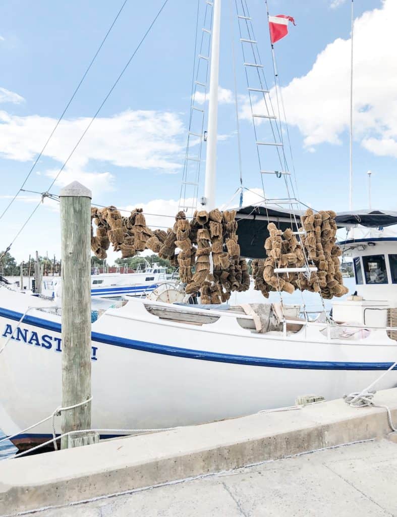 A boat loaded up with sponges pulled from the oceans near Tarpon Springs. Take a day trip from Tampa to see Tarpon Springs, a historic city nearby.