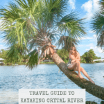 Guide to Kayaking Crystal River and Three Sisters Spring