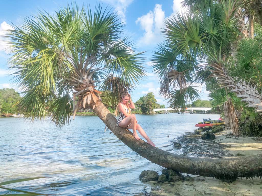 Stopping on the sandy shores while kayaking Crystal River in Florida a popular place to swim with manatees and swim in the crystal clear waters of some of Floridas best springs like Three Sisters Spring.