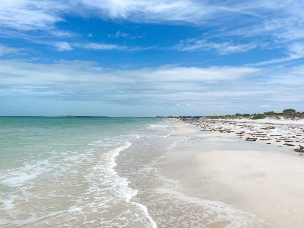 The beaches surrounding Tampa such as Caladesi Island make the perfect day trip from Palm Harbor.