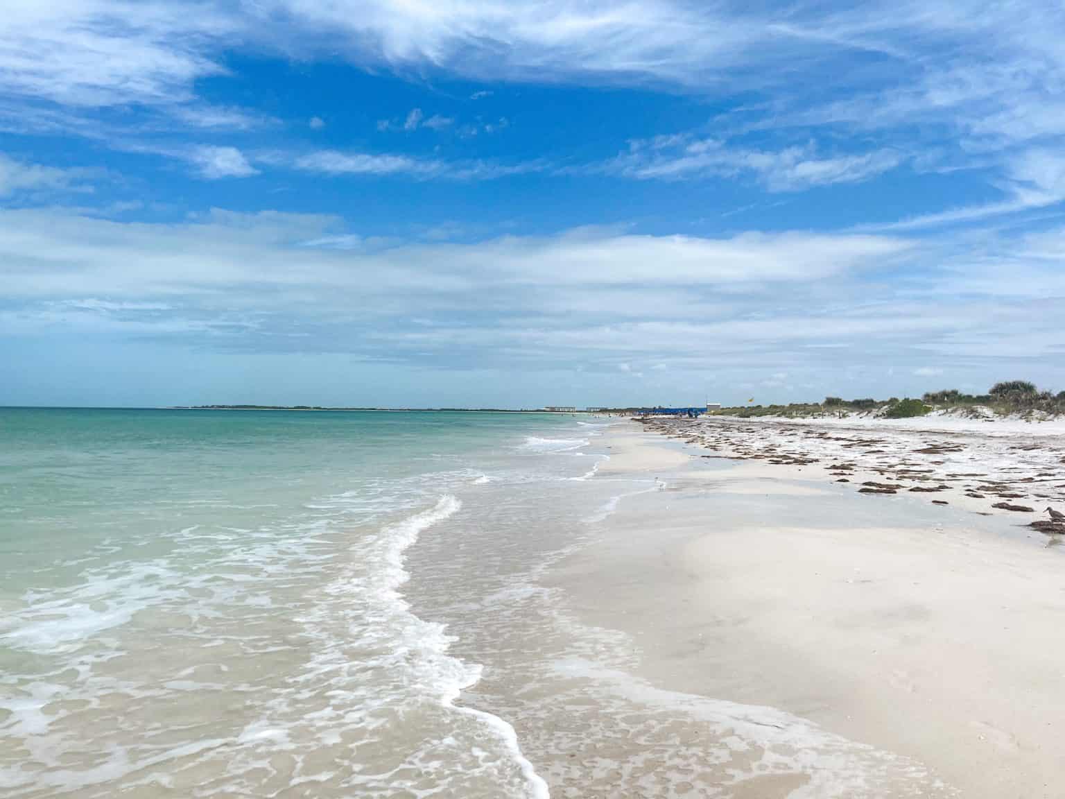 11 Best Things to Do in Palm Harbor, FL - Rachel's Crafted Life