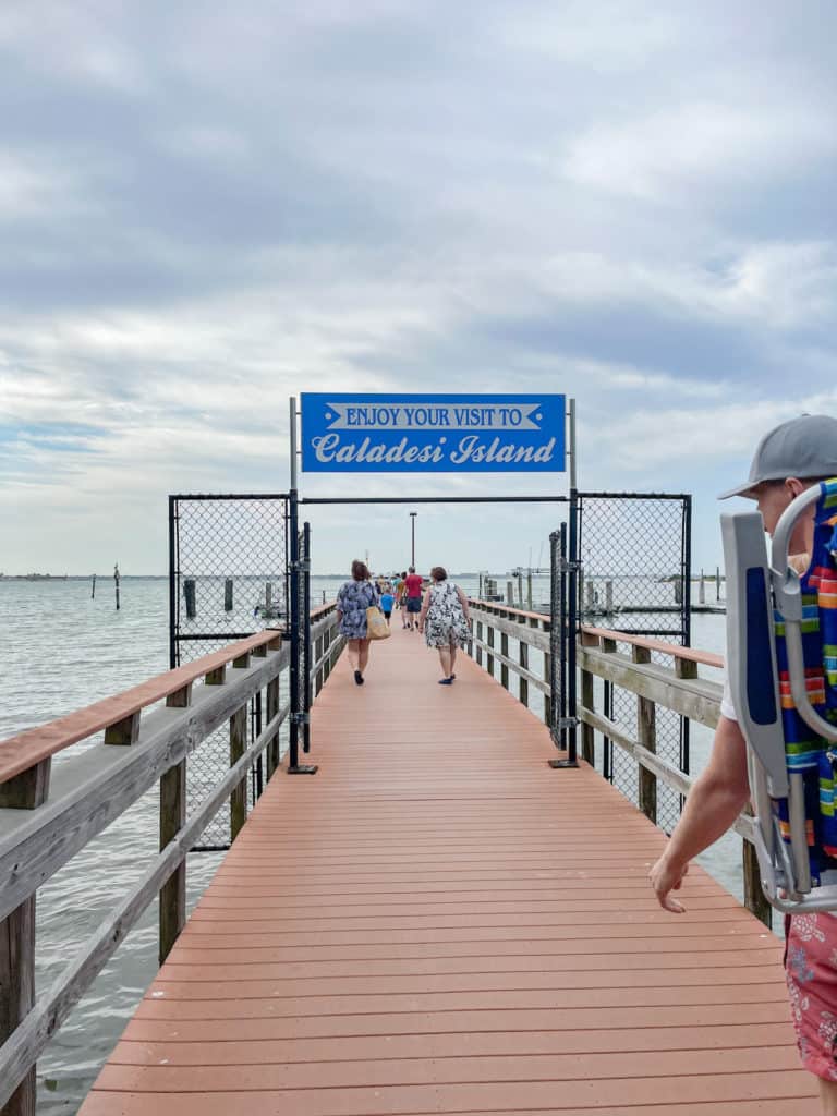 The ferry is the best way to get to Caladesi Island for a day trip.