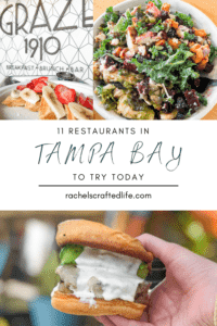 Read more about the article 11 Restaurants in the Tampa Bay Area to Try Today