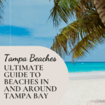 Tampa Beaches: The Ultimate Guide to Beaches in and Around Tampa Bay 