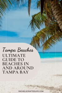 Read more about the article Tampa Beaches: The Ultimate Guide to Beaches in and Around Tampa Bay 