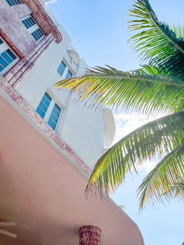 a palm tree and the Cardozo hotel on a sunny day near Miami Beach.