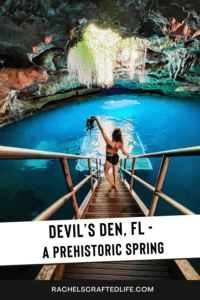 Read more about the article Day Trip Guide to Devil’s Den Florida: A Prehistoric Spring