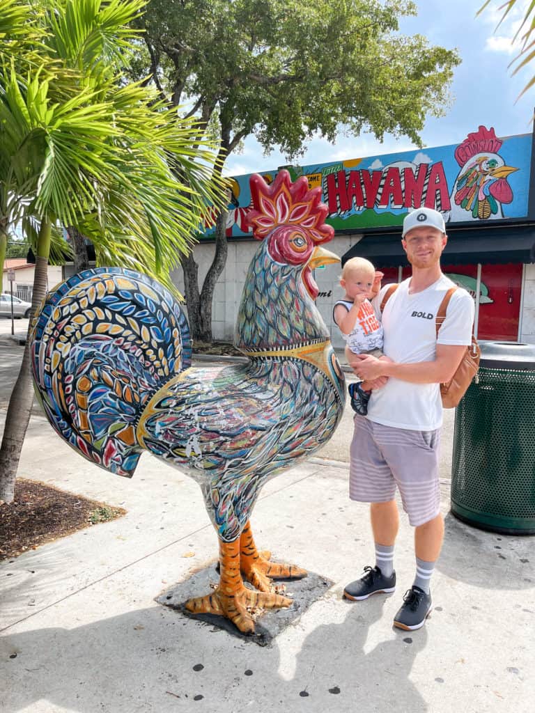 One of the many painted roosters on Calle Ocho in the Little Havana neighborhood of Miami. Visiting Little Havana was one of my favorite parts of our 3 day Miami itinerary.