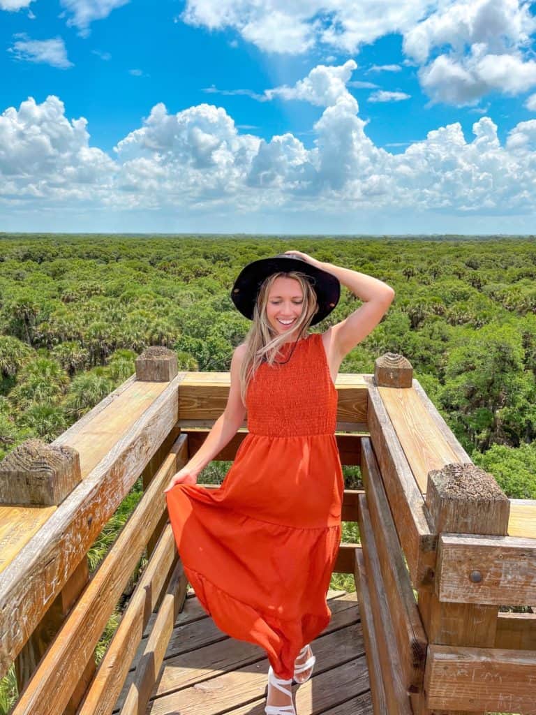 A gorgeous view of the florida landscape as seen from the top of the tower at the Myakka River State Park canopy walk.
