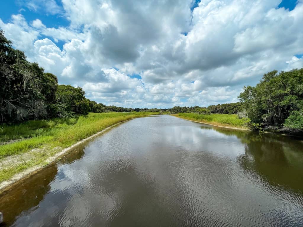 The view over Myakka River inside Myakka River State Park. The alligator filled waters look peaceful on a sunny spring day.