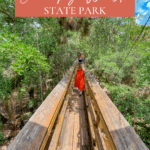 Quick Guide to Myakka River State Park Canopy Walk