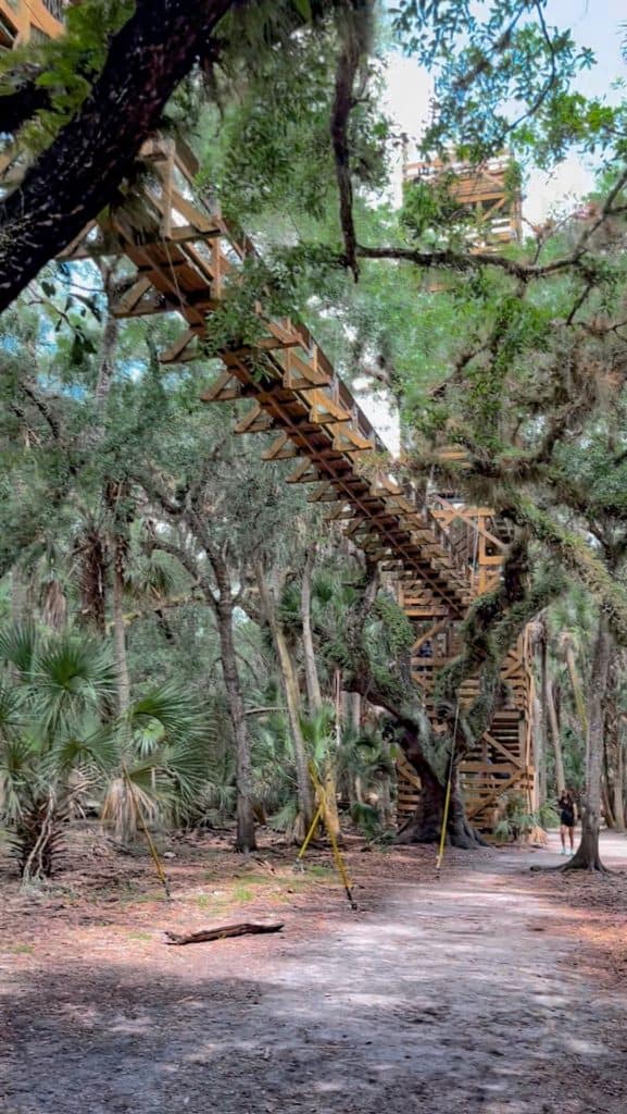 Myakka River State Park canopy walk viewed  from the ground.