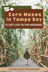 Read more about the article 5+ Corn Mazes in Tampa Bay to Get Lost in this Weekend