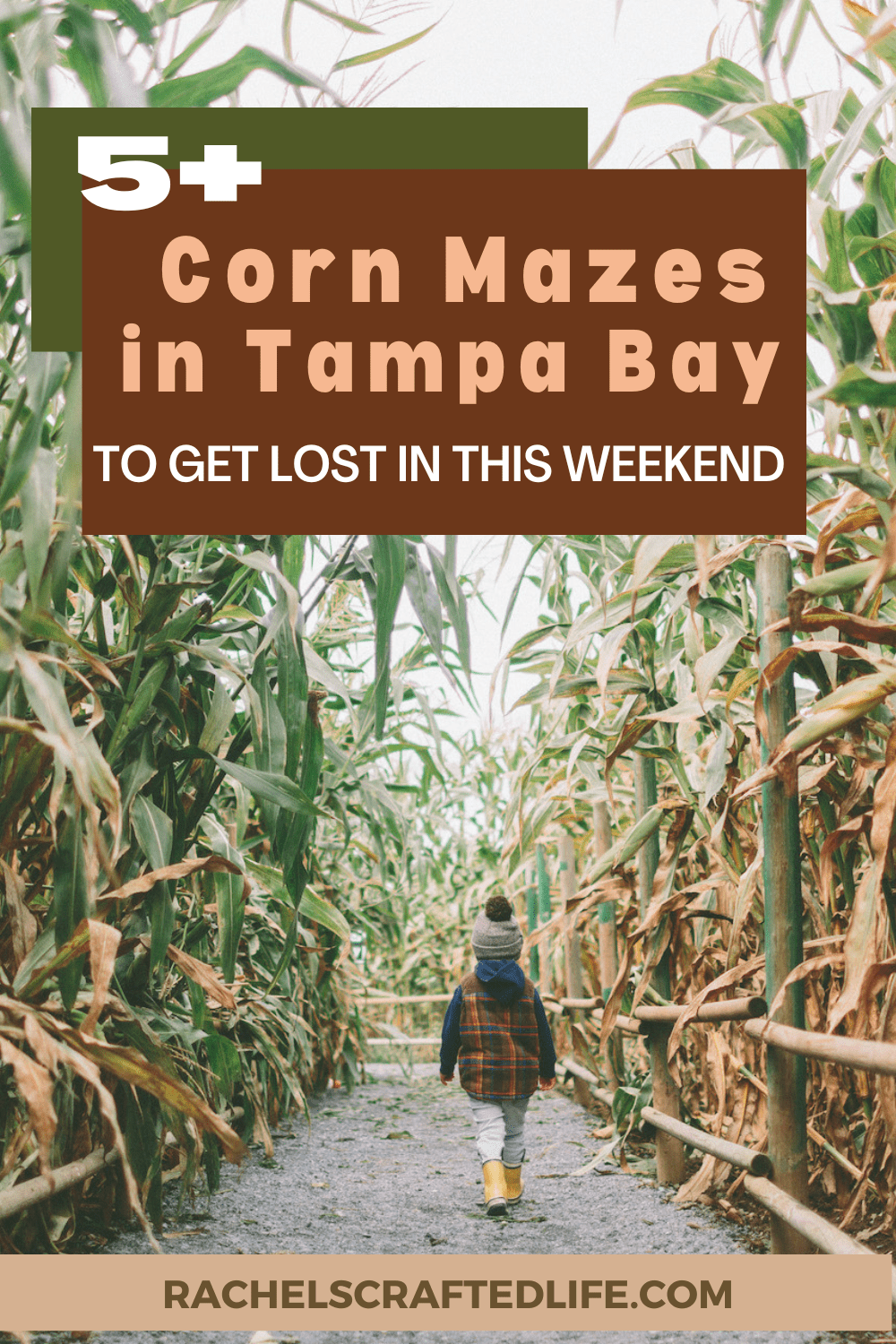 You are currently viewing 5+ Corn Mazes in Tampa Bay to Get Lost in this Weekend