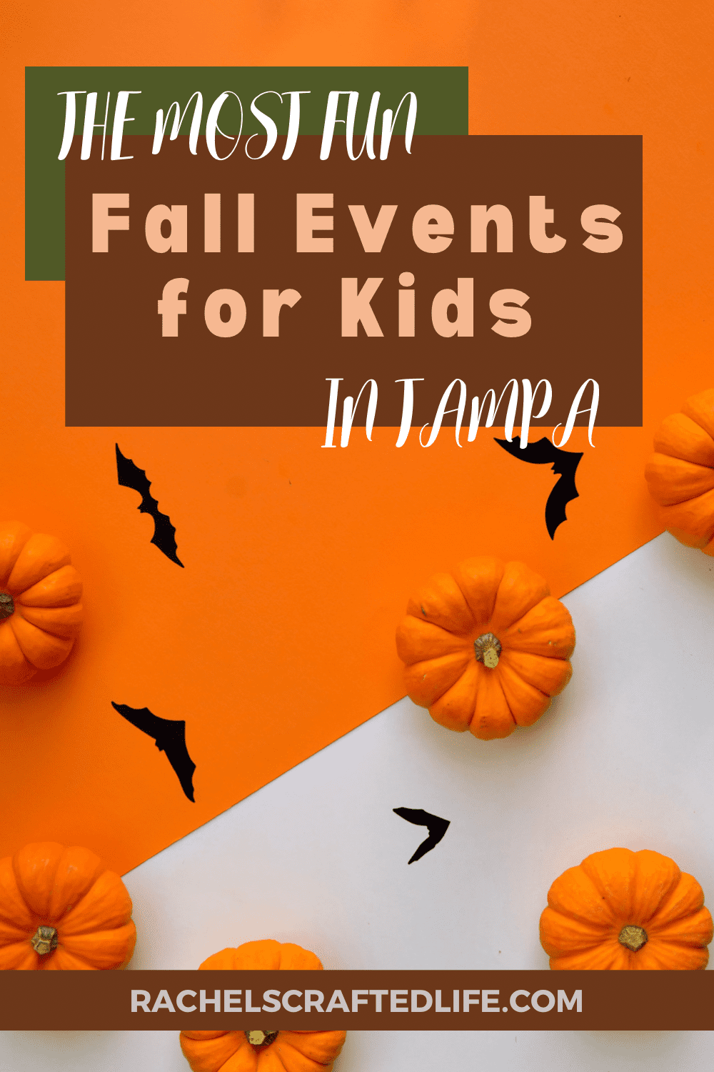 You are currently viewing The Most Fun Fall Events for Kids in Tampa