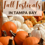 Ultimate Guide to Fall Festivals and Events in Tampa Bay