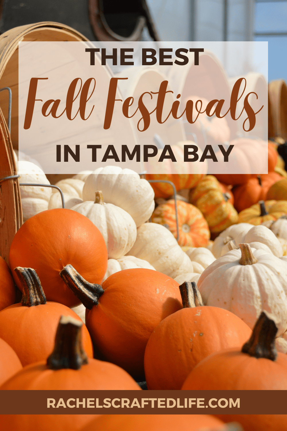 Ultimate Guide to Fall Festivals and Events in Tampa Bay Rachel's