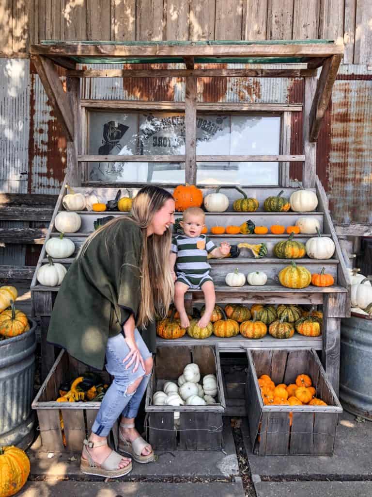 many free things to do in fall in Tampa have fun instagrammable spots like this pumpkin shelf.