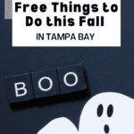 21+ Free Things to Do this Fall in Tampa Bay