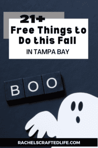 Read more about the article 21+ Free Things to Do this Fall in Tampa Bay